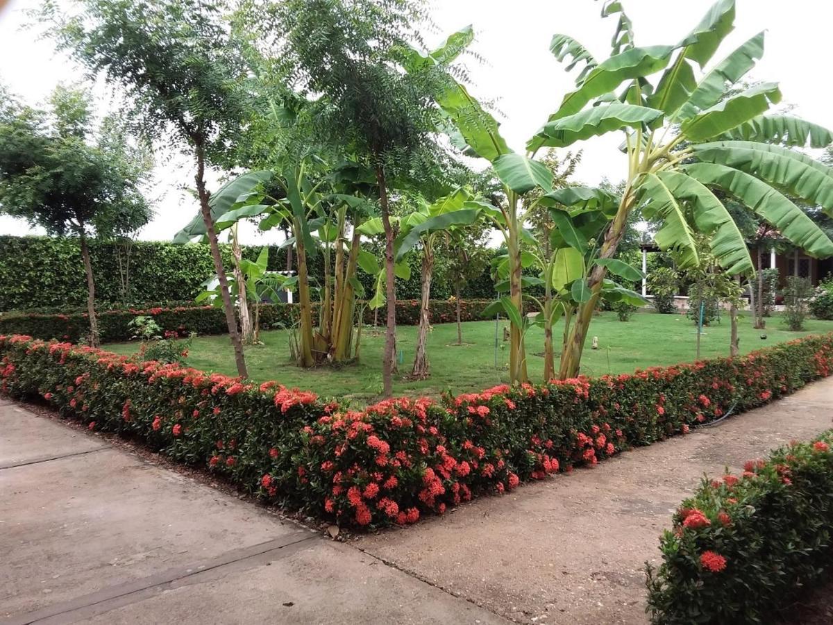 C&H campestre el oasis Bed & Breakfast Ricaurte Exterior foto