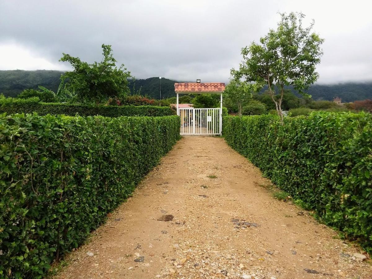 C&H campestre el oasis Bed & Breakfast Ricaurte Exterior foto